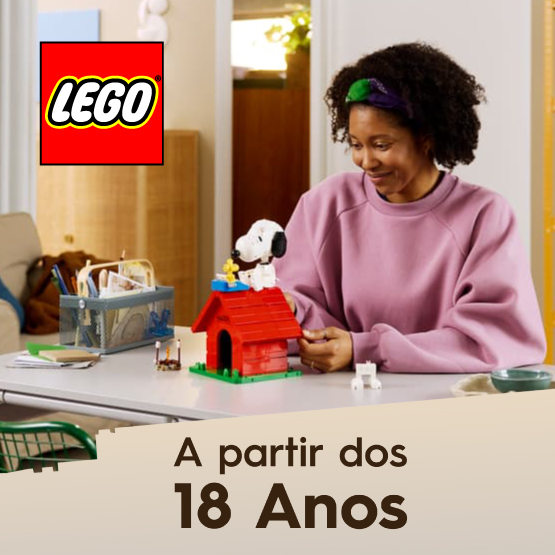 LEGO a partir dos 18 anos 