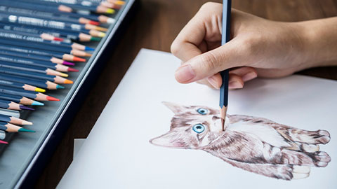 Desenho e Ilustração