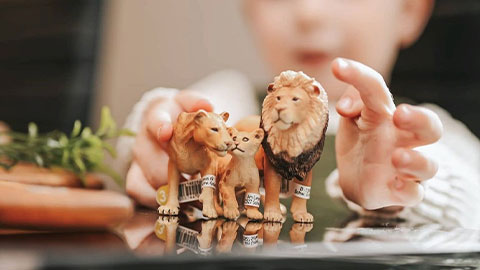 Figuras e Bonecos