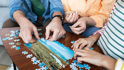 Puzzles e Quebra-Cabeças