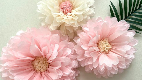 Flores de Papel