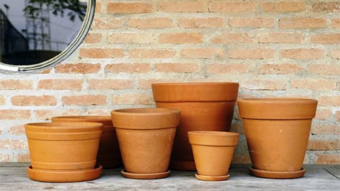 Terracota