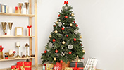 Árvores de Natal